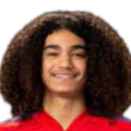 https://img.sdlxzg.com/img/football/player/87359ed9061cfd73513d827263deebcd.png