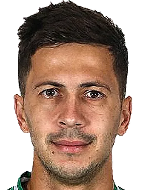 https://img.sdlxzg.com/img/football/player/a7521cae3d55835286cc258209d1ffee.png