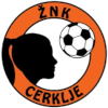 https://img.sdlxzg.com/img/football/team/26a677efcdd89a3407b165d3b180819e.png