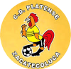 https://img.sdlxzg.com/img/football/team/63b0933cc303927659846a4ed54b1522.png