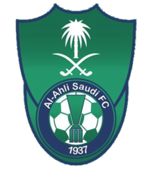 https://img.sdlxzg.com/img/football/team/f33846605b005f6b139e9c9f1d9feeef.png